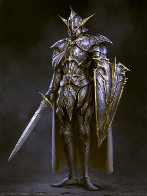 thewanderingcotabus: Elven Paladin by Radoslav Topalov @wearepaladin