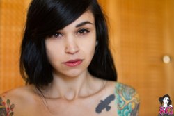  Bully Suicide 