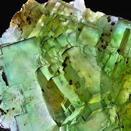 Fluorite with Chalcopyrite - Bergmännisch Glück Mine, Frohnau, Erzgebirge, Saxony, Germany