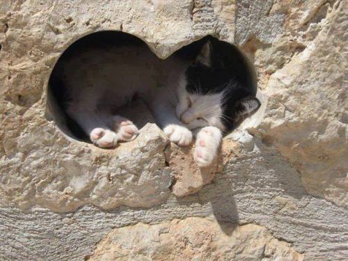 sad-face: “It was made for me! Th-this is my hole!”