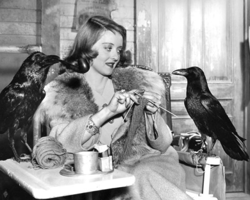 awesomepeopleinmovies:Bette Davis knitting and talking to a raven on the set of The Bride Came C.O.D