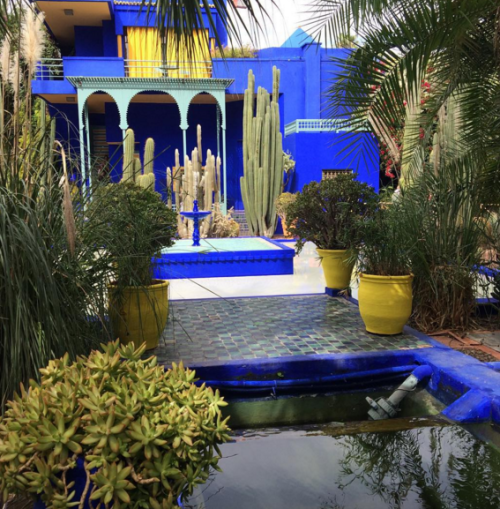 newjork:jardin majorelle, marrakesh adult photos
