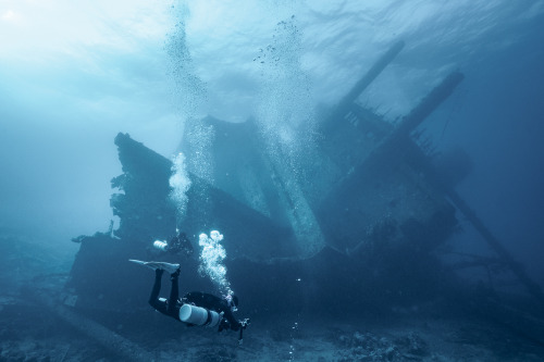 I spent a previous week on a liveaboard at the Red sea. We were exploring the world-class wreck divi