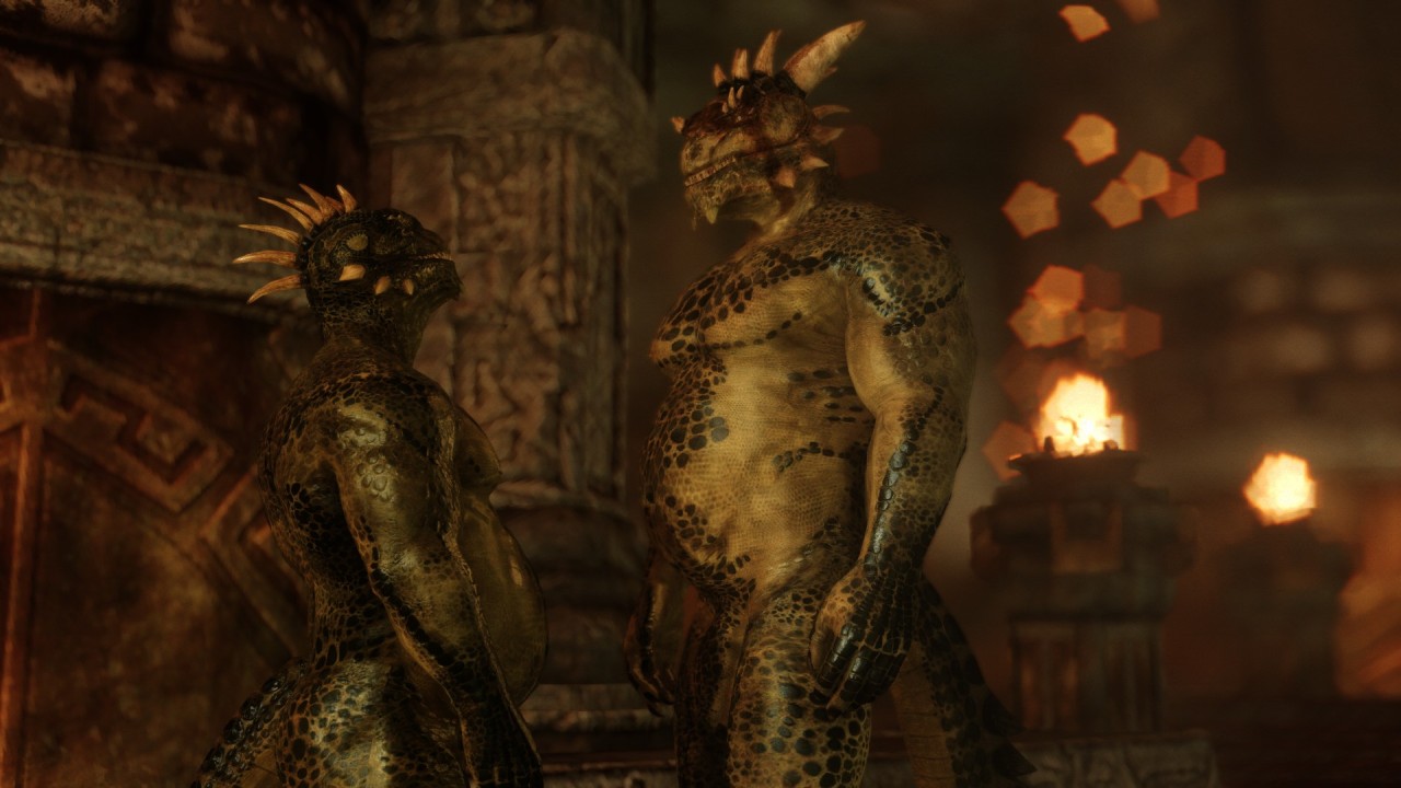 ad-games:  A Commission by   InsaneStar   for a pictures serie of a father Argonian