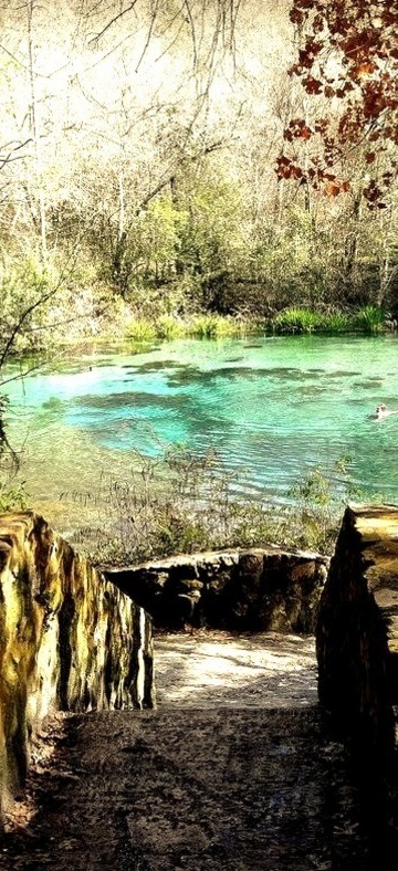 Ichetucknee Springs State Park, Florida / USA .