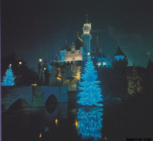 The Sleeping Beauty Castle at Christmas time.