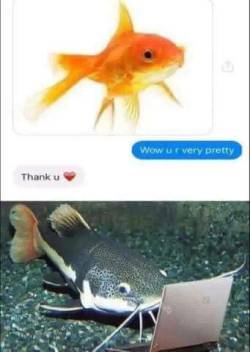 nochillmemes:  There’s something fishy