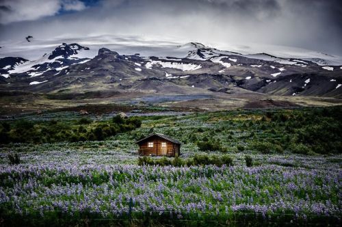 fancyadance:Little Houses in Iceland, Canada, Australia, Romania and New Zealandmore