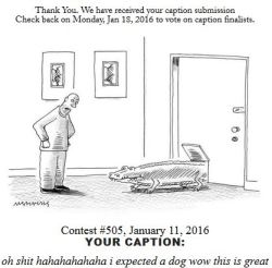 Shitty New Yorker Cartoon Captions