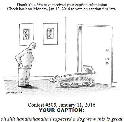 XXX Shitty New Yorker Cartoon Captions photo