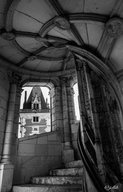 Château royal de Blois, France.www.jcllib.tumblr.com