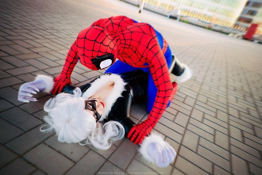 groteleur:  Black Cat vs Spiderman 