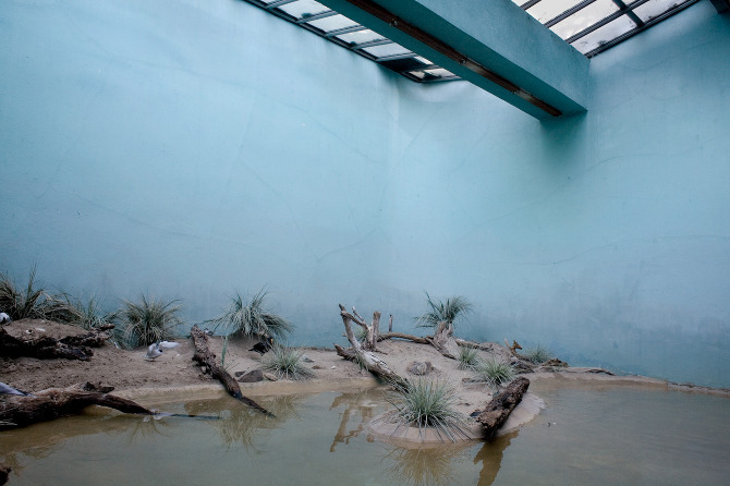 cerceos:    Daniel Kukla - Captive Landscapes