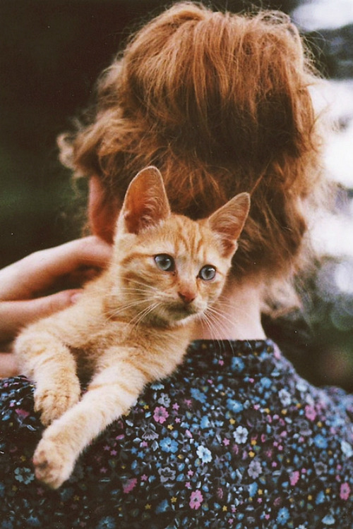 hippiework:  ☵ http://hippiework.tumblr.com ☲