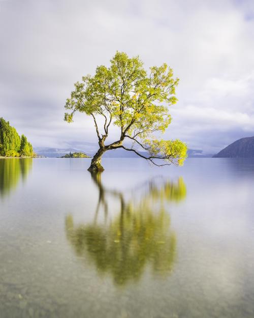 amazinglybeautifulphotography: The Lone Tree