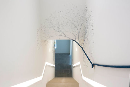 itscolossal:Organic Shapes Emerge in New Installations of Intertwined Rope by Janaina Mello Landini