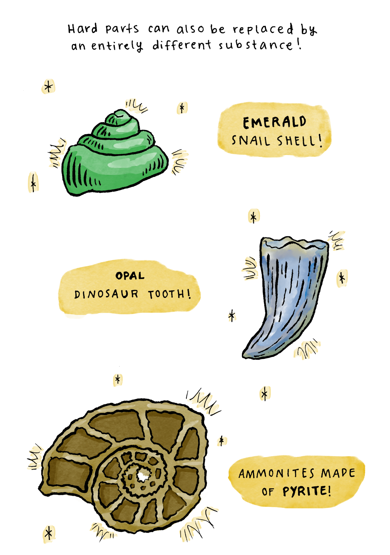 Fossils