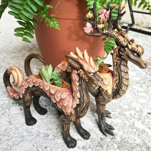 dovewithscales: half-human-machine: unseelie-witch: sosuperawesome: Planters by Emily Coleman on Ins