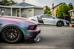 automotivated:  DSC_3766 by Rob Rabon Photography