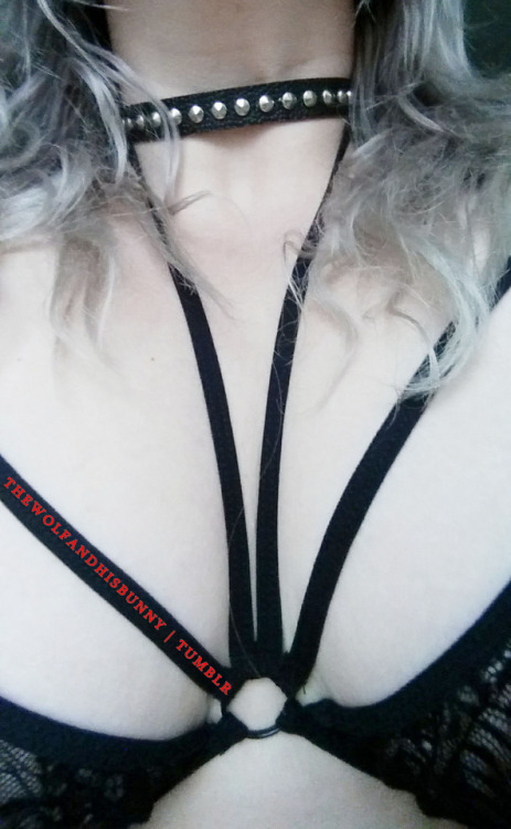 follow—thewolfandhisbunny: bunny goddess xo thedomandmuse.adultshopping.com - Adult Meg