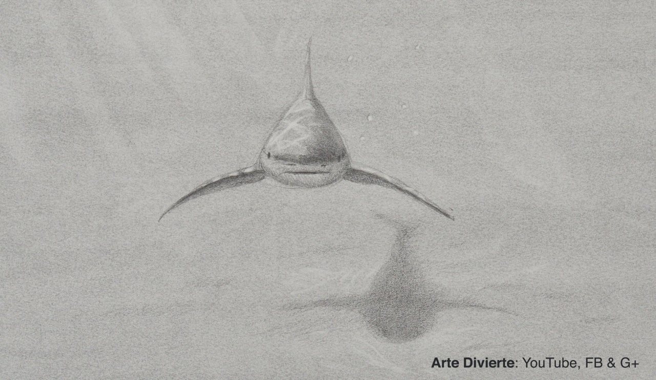 Arte Divierte — Cómo dibujar un tiburón - Boceto a lápiz Mira el...