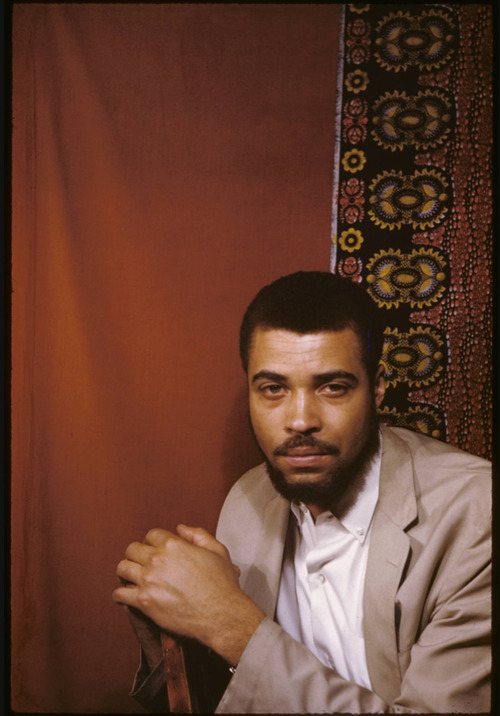 steadypickingmyfro:  sherandomcant:  The Many faces of legendary actor James Earl Jones   I’ve never seen young James before. 😳