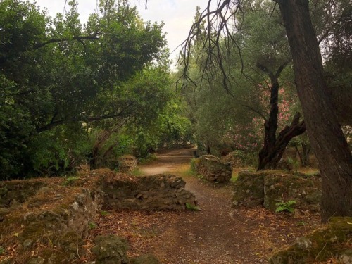 Wandering through the ancient agora of Athens