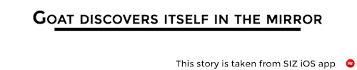sampsans:Me