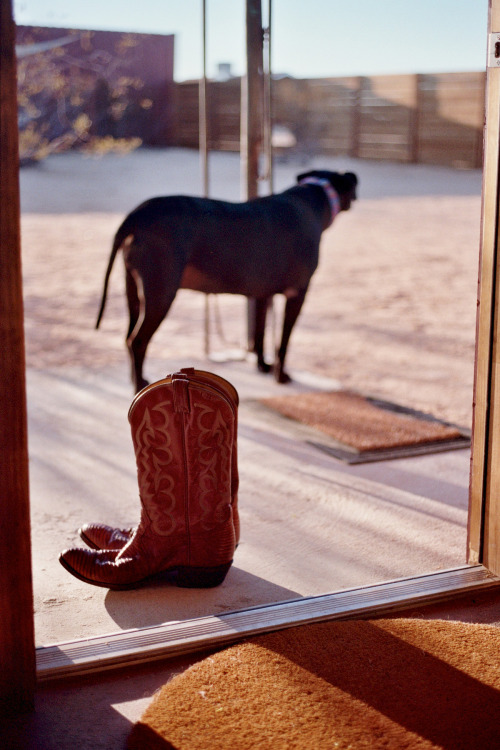 summerdiaryproject:   EXCLUSIVE COVER STORY | PART TWO ON THE ROAD JOHNNY PHOTOGRAPHED IN JOSHUA TREE, CALIFORNIA BY ALEX MARSH KING Alex Marsh King is a Midwest-born & Colorado raised photographer and artist based in Los Angeles, California. Living