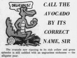yesterdaysprint: The Miami News, Florida, September 29, 1961