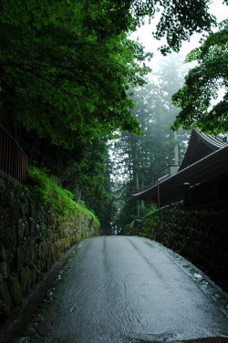 bluepueblo:  Stone Wall Road, Nikko, Japan