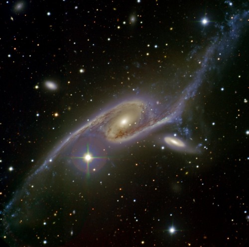 galactic-centre:Giant Galaxy NGC 6872 Image Credit: Sydney Girls High School Astronomy Club,&nb