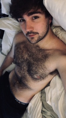 Hairy-Males:renting Out The Other Half Of My Bed. X ||| Hot And Sexy Males Live And