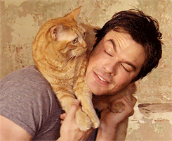 hercosmiclove:  When I heard that I get to hang out with my kid, with my Moke, that