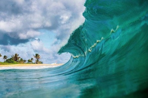 surf4living:Sunday at Sandy Beach, HA …Photo: Zak Noyle