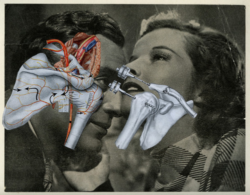  “O nosso amor endógeno” / “Our endogenous love” hand cut collage on paper 26x20cm / 10.