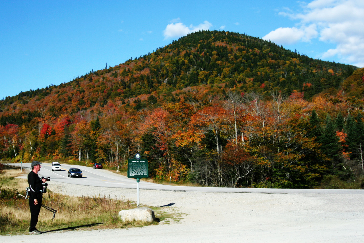 creative-owlette:  The last of my “autumn in New Hampshire 2013” photos 