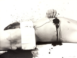 raveneuse:  Hermann Nitsch, photo from the