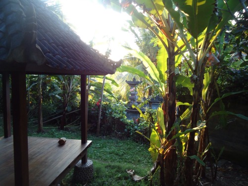 trovpics: this is my photo i took it in bali last year. I also posted it on my old account now i-llu