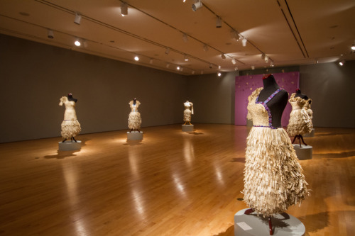 My show at the Paul and Lulu Hillard University Museum of Art.  Running through May 15, 2016.