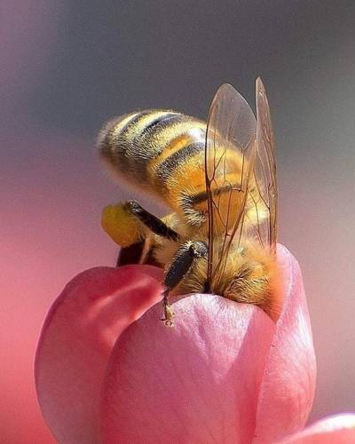 fantasyanddreamsworld: