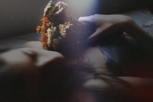 xdeadbunnyx:  Rest in Scent by CanusLilium