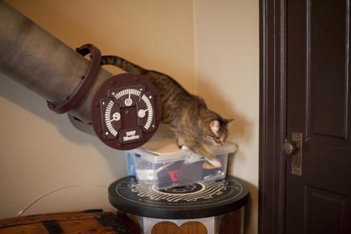 steampunktendencies:Steampunk inspired cat tubes by Because We Can@foolishandfurious Does Macre
