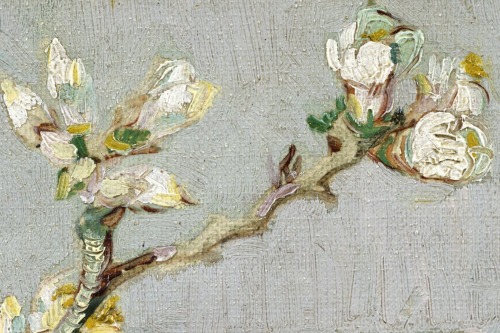 herdaughtersdiary: Detail - Flowering Almond in a Glass by Vincent Van Gogh