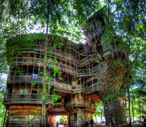 cjwho:  The World’s Biggest Tree House porn pictures