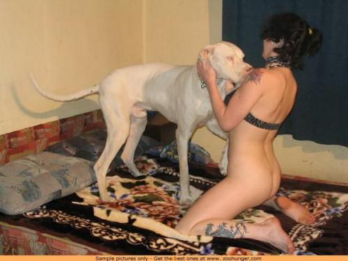 hornyzoophilia:  yummyyyyyyyyyyyy its so horny ,I love it so much  the girls love it and the dogs loves it also much !!!!!!!   Where can I find more pics like this