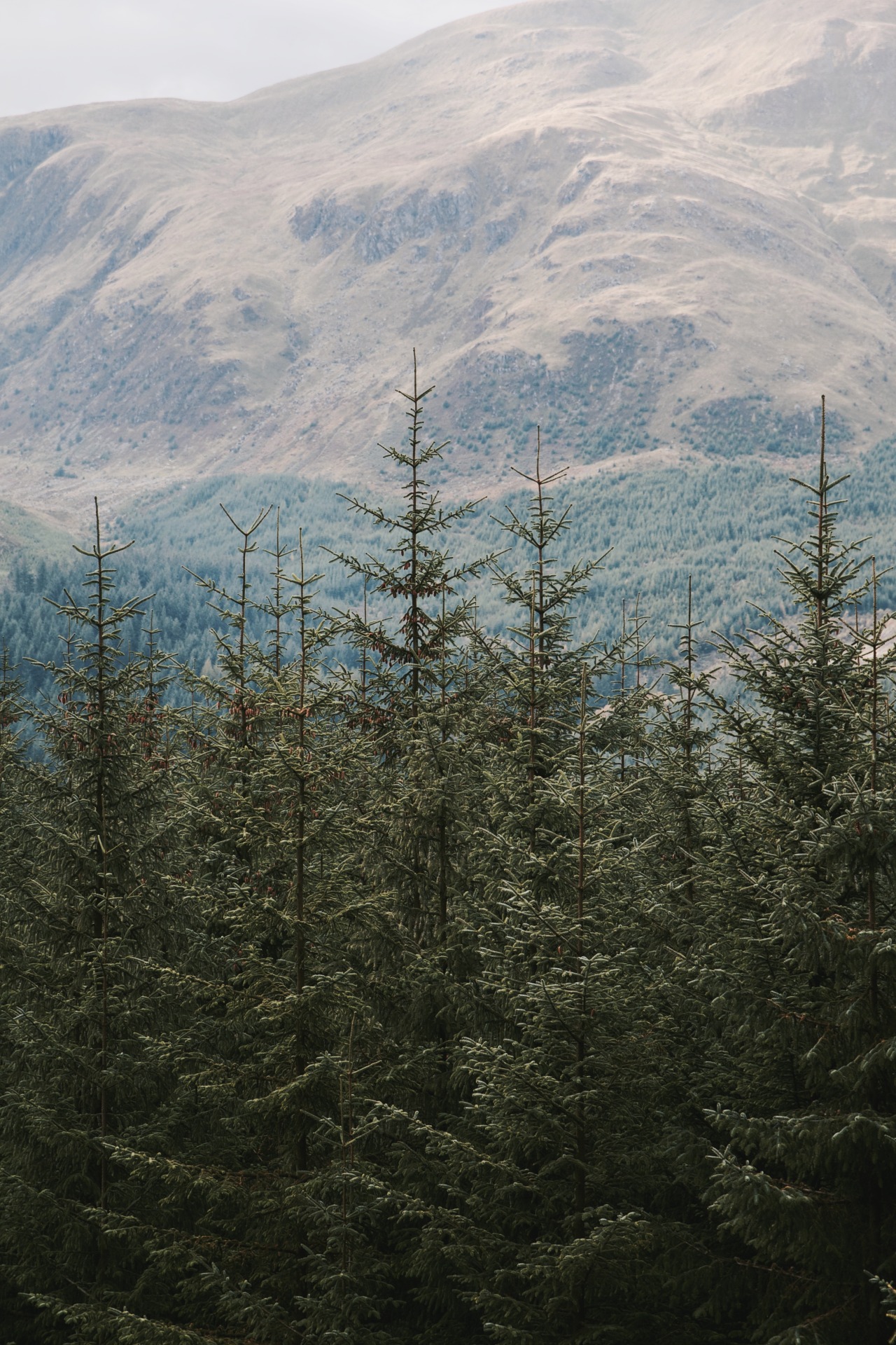 theencompassingworld:  kylebonallo:  by Kyle Bonallo (instagram)  The World Around