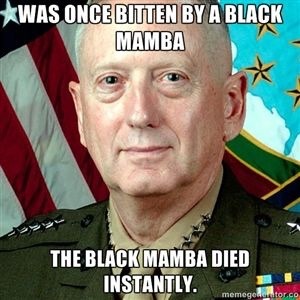 dedicatedredneck:  nerd-marine:  takesabeating:  ctn-nope:  allamericanaltright:  southernsideofme:  General “Mad Dog” Mattis for President   These made my day   Rah. Kill. Yut.  Yes!!!!  Mattis - Fick 2016  Mattis for president  Haha fuck yes, I’ve