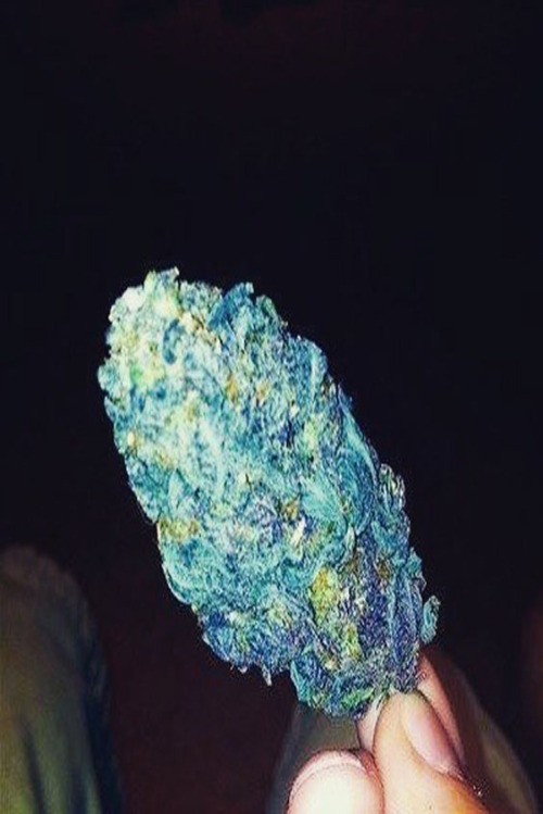 thestonymahony:  ganja