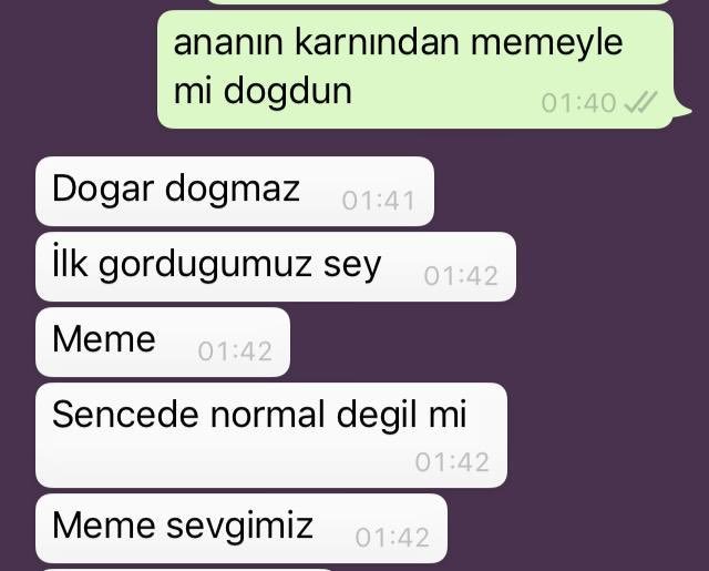 ananın karnından memeyle...